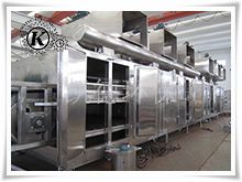 Multi-layer Mesh-Belt Dryer